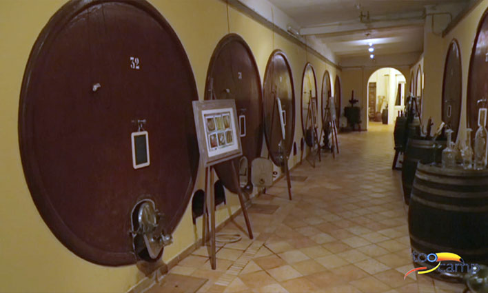 Déguster le Est ! Est !! Est !!! lors de la fête du Vin de Montefiascone en Italie Déguster le Est ! Est !! Est !!! lors de la fête du Vin de Montefiascone en Italie