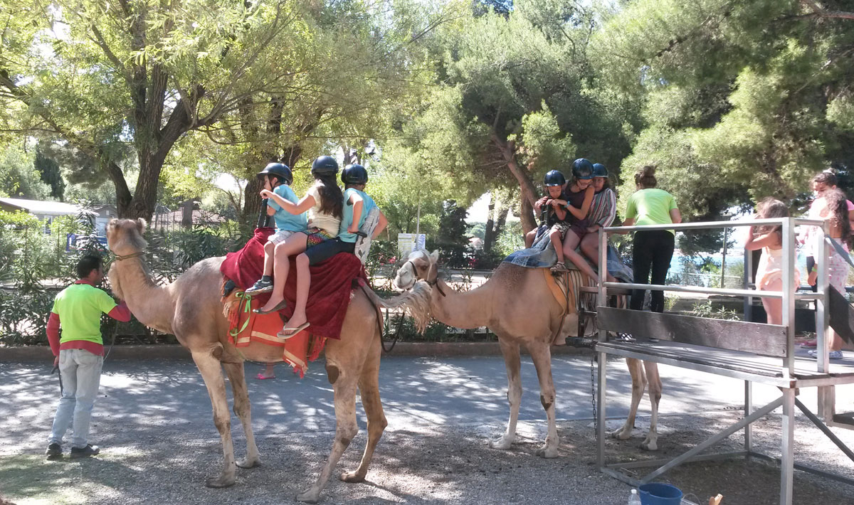 Marina Plage Provence-Alpes-Côte d'Azur - Vitrolles visuel 1/29