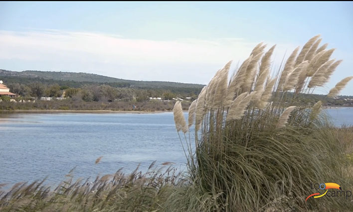 Le Hameau des Canisses Languedoc-Roussillon - Gruissan visuel 1/11 Le Hameau des Canisses Languedoc-Roussillon - Gruissan visuel 1/11
