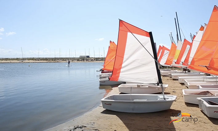 Les Jonquilles Pays de Loire - La Tranche-sur-Mer visuel 1/8