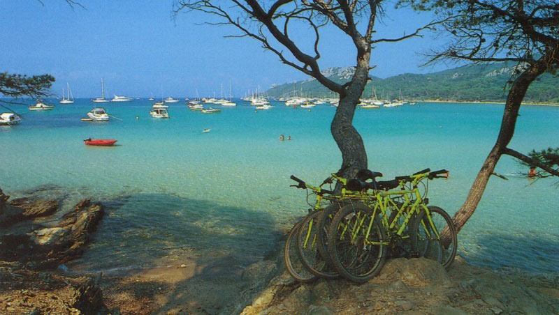 L'Ile d'Or Provence-Alpes-Côte d'Azur - Hyères visuel 1/32 L'Ile d'Or Provence-Alpes-Côte d'Azur - Hyères visuel 1/32