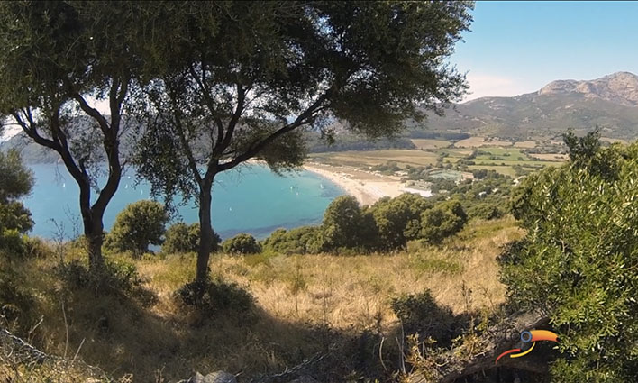 Torraccia Korsika - Cargèse visuel 1/12 Torraccia Korsika - Cargèse visuel 1/12