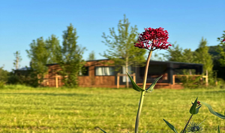 Camping Les Cinq Châteaux - Vézac