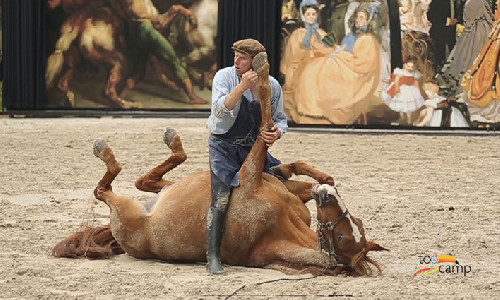 Le Haras de la Roche sur Yon et son incroyable spectacle équestre Le Haras de la Roche sur Yon et son incroyable spectacle équestre
