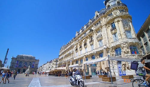 Que faire à Montpellier ? Que faire à Montpellier ?