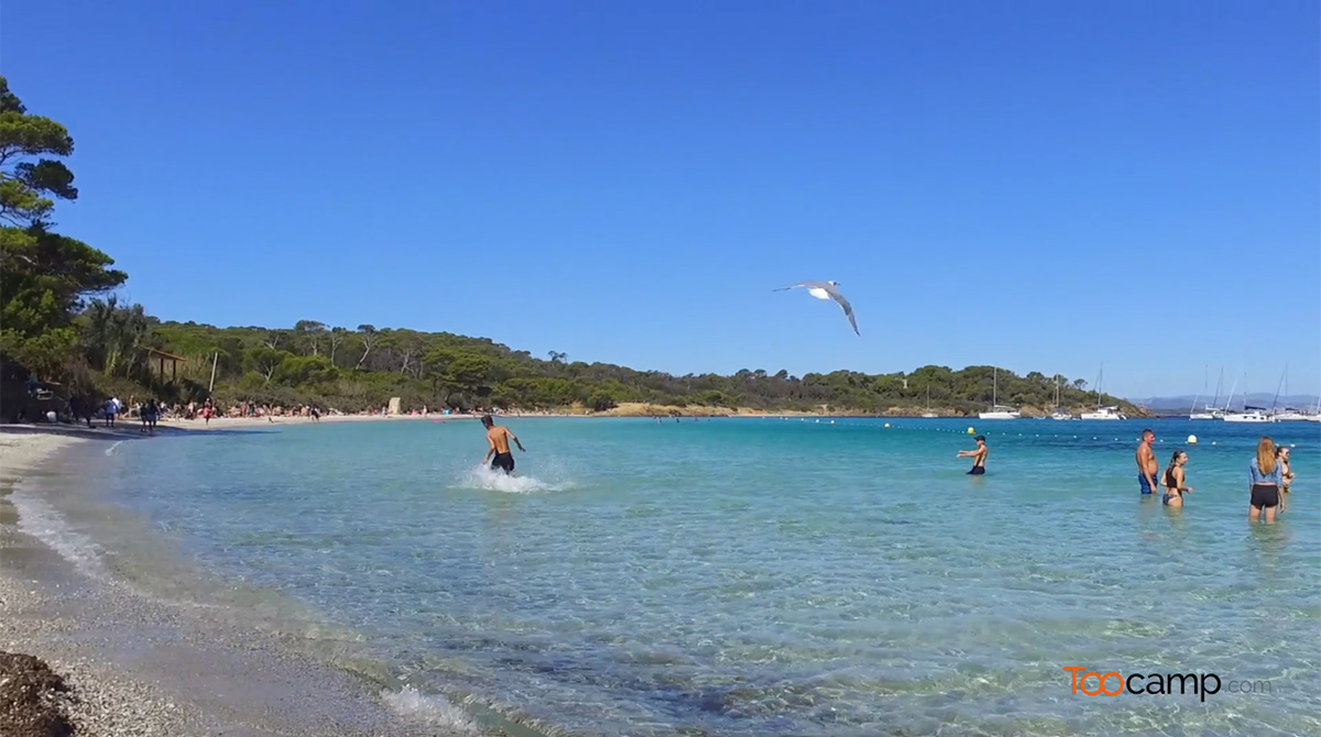 Les Plages De Lîle De Porquerolles En Vidéo